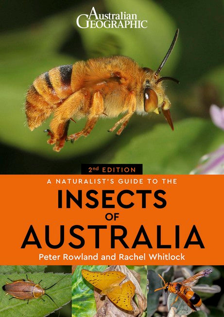 Australian Geographic A Naturalist's Guide to the Insects of Australia