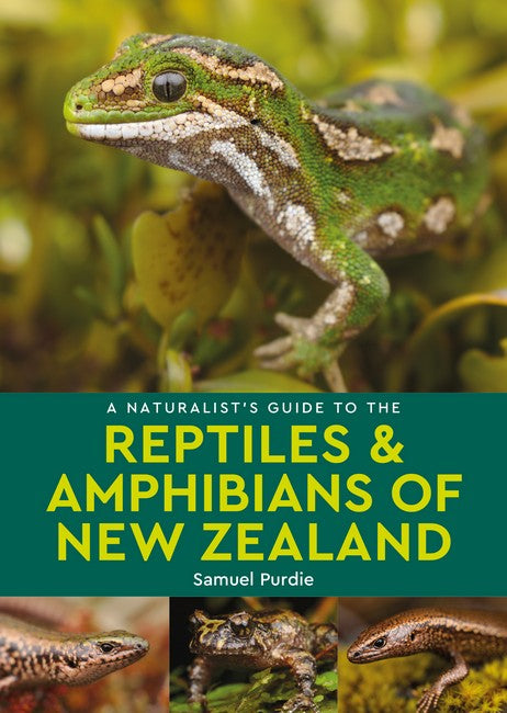 A Naturalist's Guide to the Reptiles & Amphibians of New Zealand