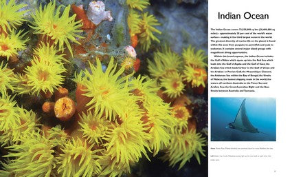 The World's Best Tropical Dive Destinations (3rd) 3/e
