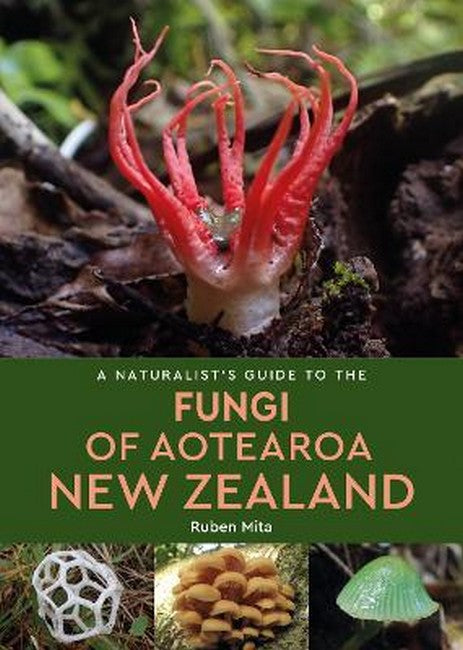 A Naturalist's Guide to the Fungi of Aotearoa New Zealand