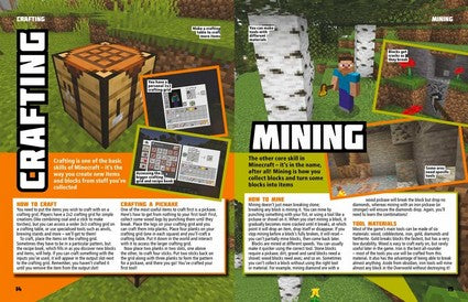 The World of Minecraft