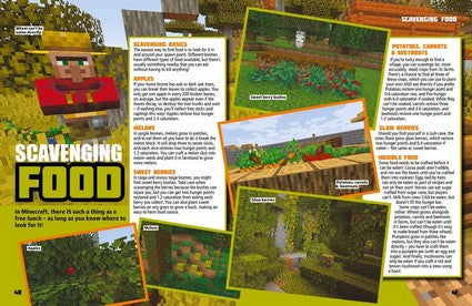 The World of Minecraft