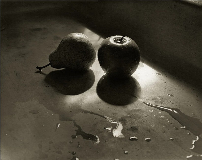 The Stillness of Life