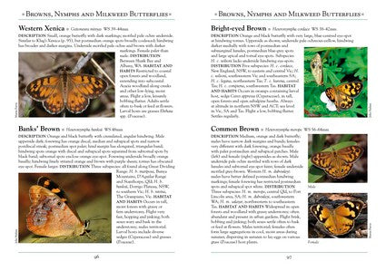 A Naturalist's Guide to the Butterflies of Australia 3/e