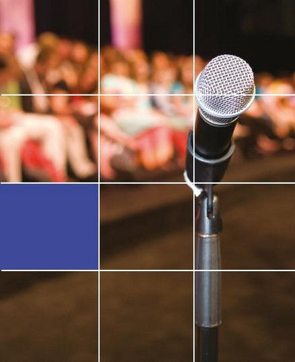 Persuasion and Influence