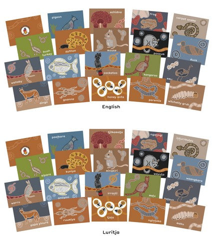 Australian Animal Cards + DVD