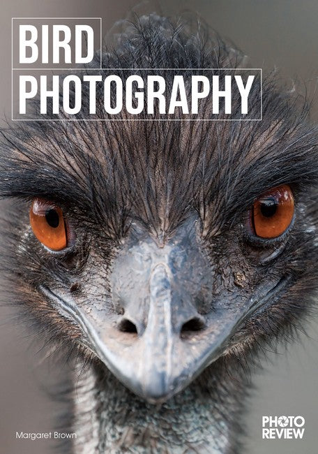 Bird Photography