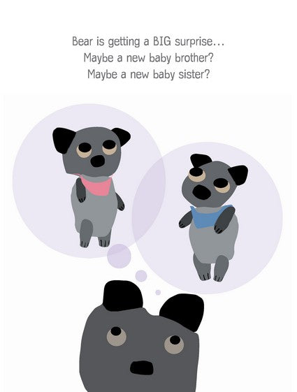 Bear and the Big Surprise