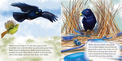 Binky the Bowerbird