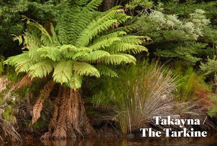 Discovering Natural Tasmania