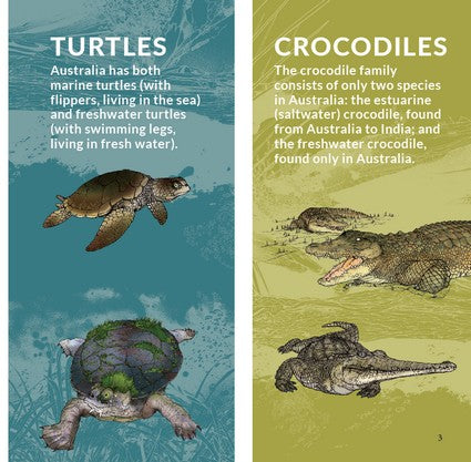 What's That? Australian Reptiles (HB)