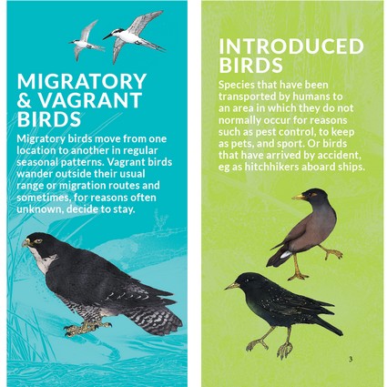 What's That? Australian Birds (HB)