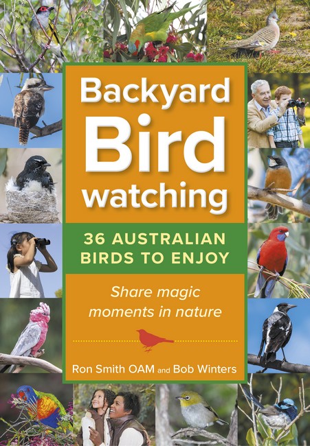 Backyard Birdwatching (Updated Version)