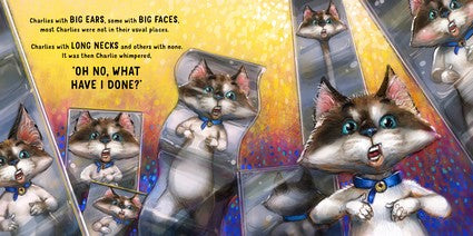 Charlie and the Hall of Mirrors (PB)