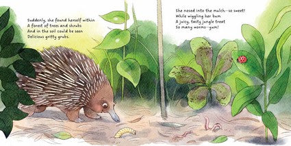 Elsa the Echidna finds a forest farm