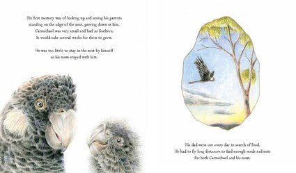 Carmichael's Journey