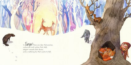 Amazing Animal Earth