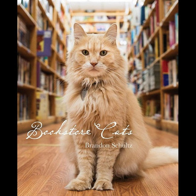 Bookstore Cats