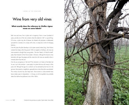 Unusual Wines