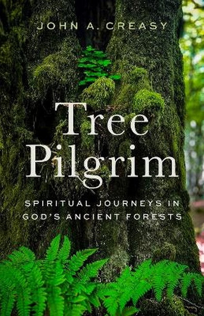 Tree Pilgrim